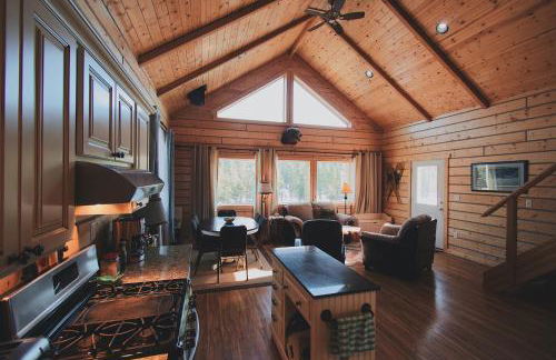 Denali Wild Stay - Bear Cabin with Hot Tub and Free Wifi, Private, sleep 6 - Foto 1