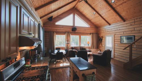 Denali Wild Stay - Bear Cabin with Hot Tub and Free Wifi, Private, sleep 6 - Foto 1