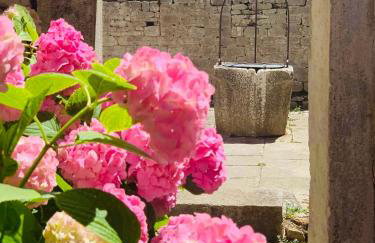 Bale Luxury House - Foto 16