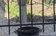 Maison de Sika - Foto 9