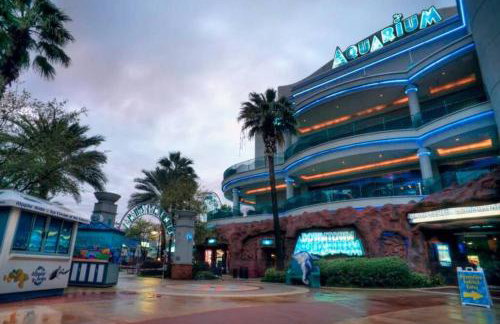 Houston Up Scale Abode - Foto 33