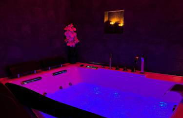 G7 Loft SPA & Terrasse centre Angouleme - Foto 29