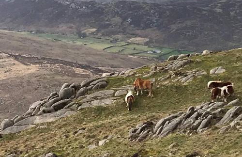 Reid's Hall - Foto 20