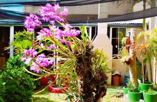 Pequena casa na Praia do Cassino - Foto 26