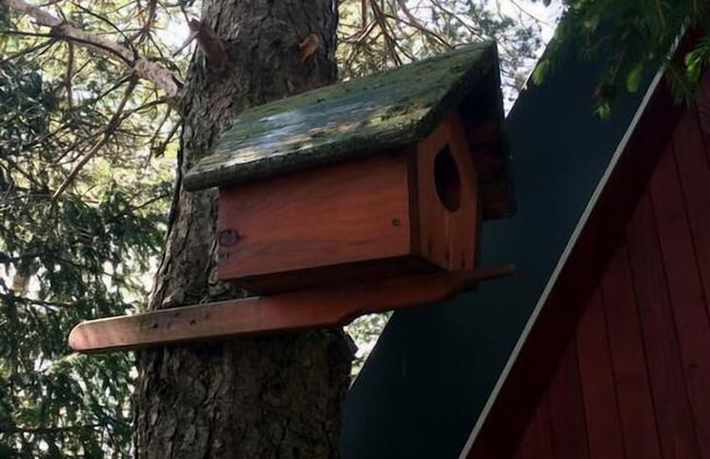 Holiday Home Bella - Foto 14