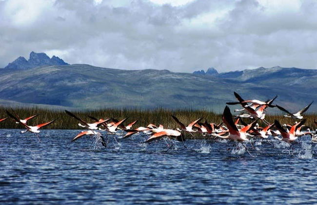 Escursione al Santuario Nazionale di Huayllay - Foto 3