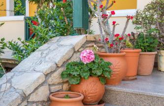 Dilina Studios - Photo 14