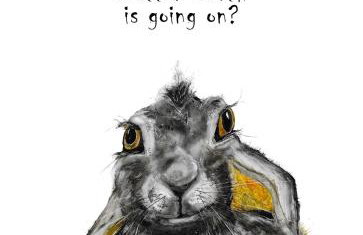 Hidden gem in heart of Breckland - Foto 4