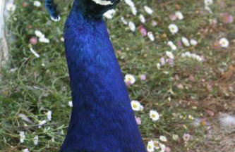 The Hay Loft - Foto 42