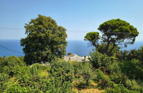 HoMe on the mountain - Foto 65