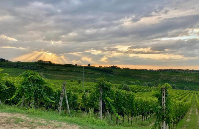 Tuscany Family Country Home - Photo 34