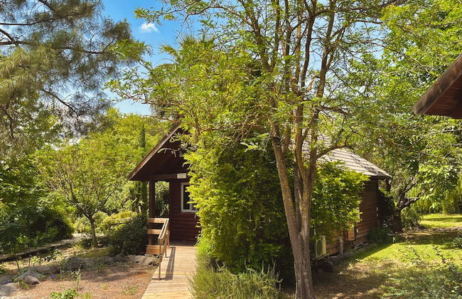 Nofey Habashan - Foto 70