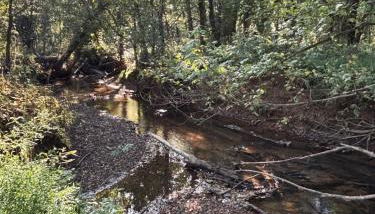 Creekside Cottage, Private, Peaceful, Cozy Escape - Foto 3