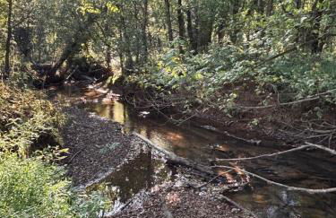 Creekside Cottage, Private, Peaceful, Cozy Escape - Foto 3