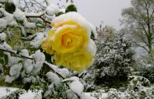 Apartment Landhaus Wildfeuer by Interhome - Foto 9