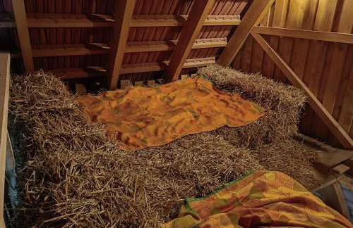 Azyl nad Nidą - Foto 45