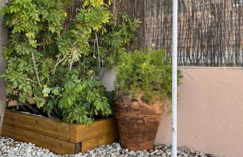 Mas Japimon - Foto 24