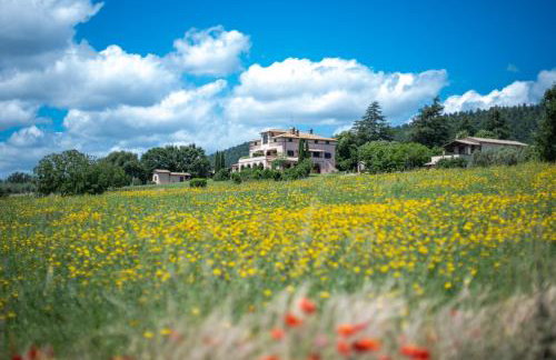 Poderaccio Agri Relais Apartments & Restaurant - Foto 11