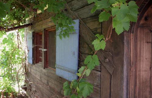 Historischer Vogtshof: eingezäunt | sonniger Garten | Kamin | Denkmalschutz - Foto 19