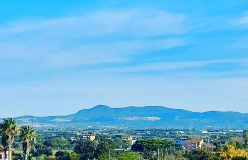 Roxy Alto Belvedere - Foto 15