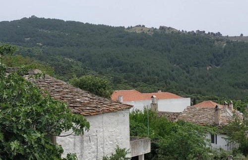 House Margarita - Foto 14