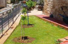 Nostos Old Town - Foto 17