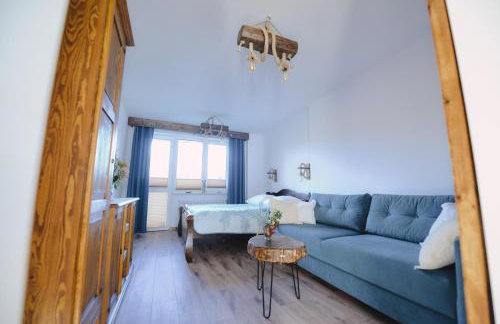 Apartament Zielony Ruczaj w Cisnej - Photo 8