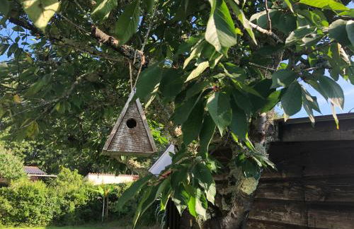 Villa Orcas - Foto 16