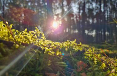 Stodoła HOME&CHILL - Foto 75