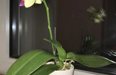 Haus Bliestal-Blick - Foto 15