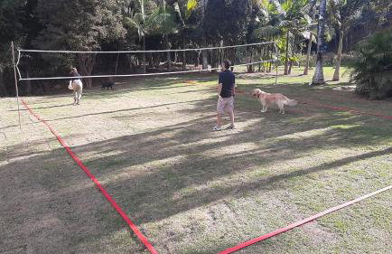 Recanto dos Passaros - Foto 58