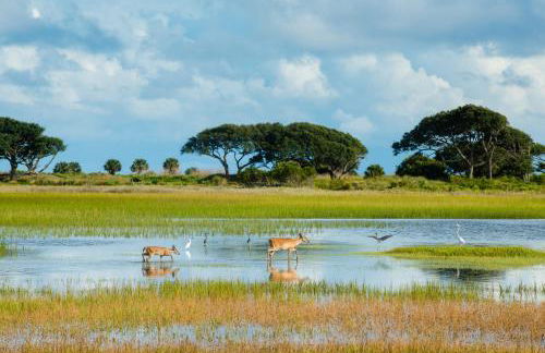 Turtle Cove 5529 - Photo 24