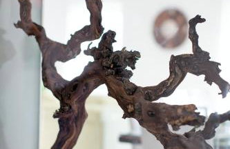 Villa Gellia - Photo 76