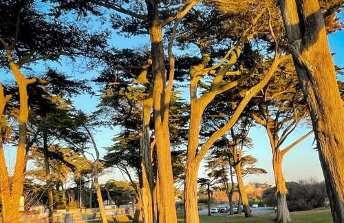 Valentin Beach Home ! un duplex sur la plage - Foto 30