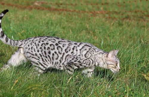 Evadez-vous à la ferme ! - Foto 42