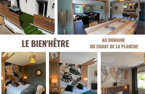 Domaine du Chant de la Planche - SPA - Hautes Vosges - Foto 2