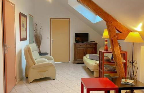 Gîte tout inclus près de Blois avec jardin, idéal familles, proche châteaux de la Loire - FR-1-491-430 - Foto 26