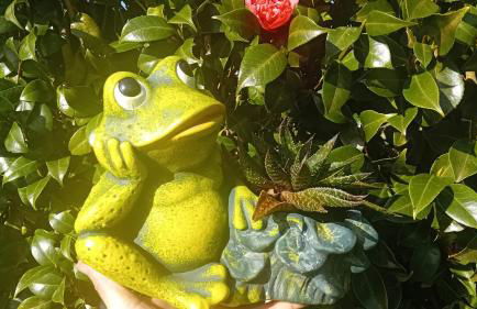 Sunflower Guest House - Madalena - Pico - Photo 57