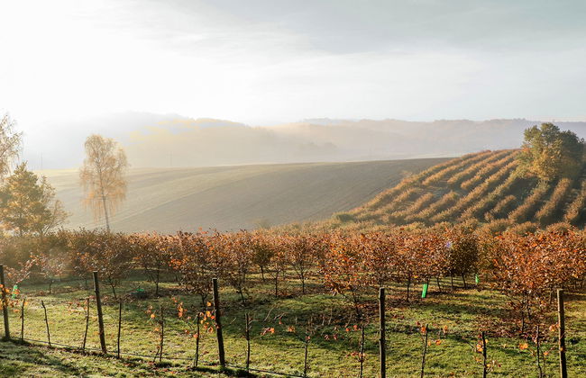 Jura dla Ciebie - Foto 5