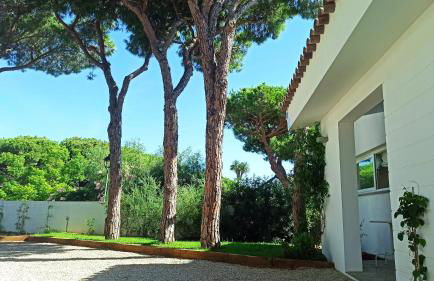 Diseño y luz entre los pinos - Foto 65