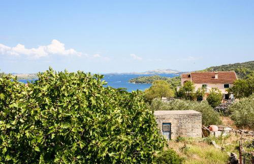 Apartment Lordanic Zaglav, Dugi otok - Foto 25