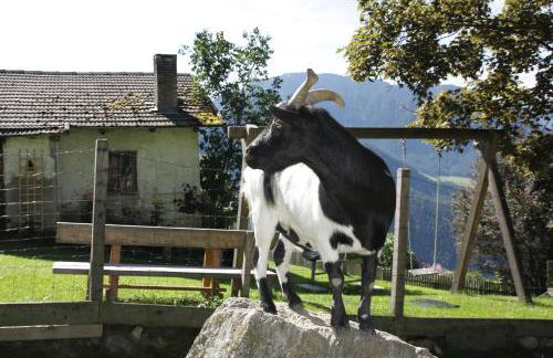 Gspoi-Hof - Photo 16