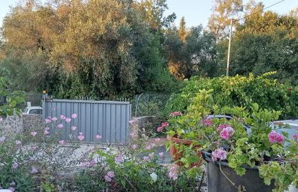 Venetton Garden House Corfu - Photo 15