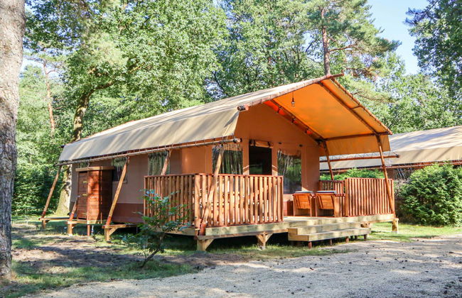 2 bedroom House in Otterlo with swimming pool and terrace - Photo 14