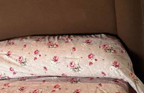 Cortijo Borreguero - Photo 29