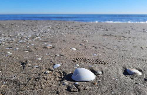 FiveStepsToSea - Beach Apartment Valencia - Foto 29