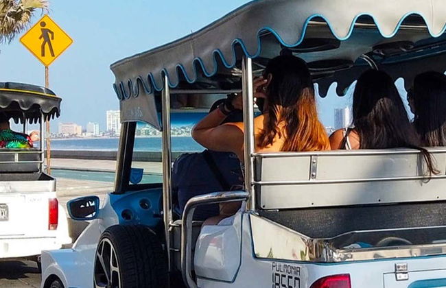 Tour panoramico privato di Mazatlán in vettura tipica - Foto 7