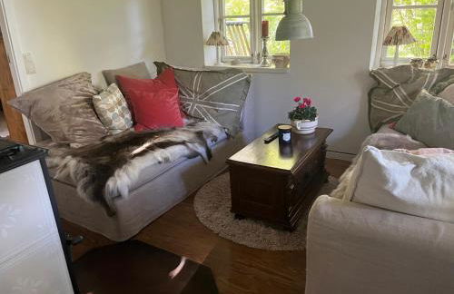 Modellregion- Krümelkate Eiderstedt - Foto 19