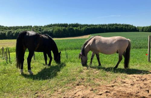 Ferienwohnung Aussicht, Monheimer Alb, Altmühltal - Foto 21
