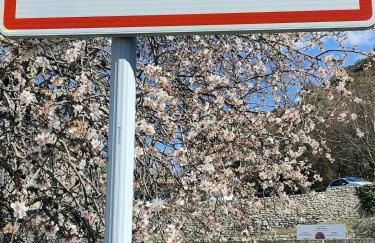 Charming house in Provence, 2 to 10 people - Foto 48